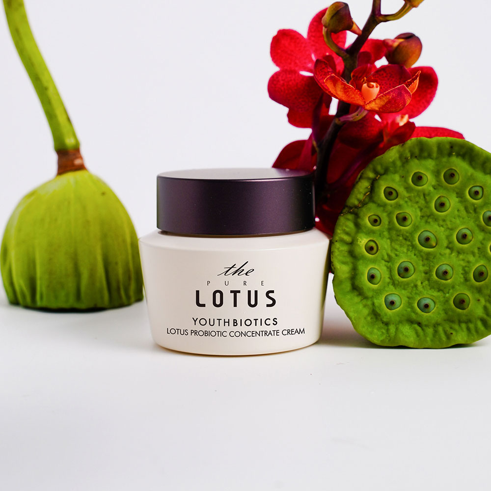 Lotus Probiotic Concentrate Cream (1)